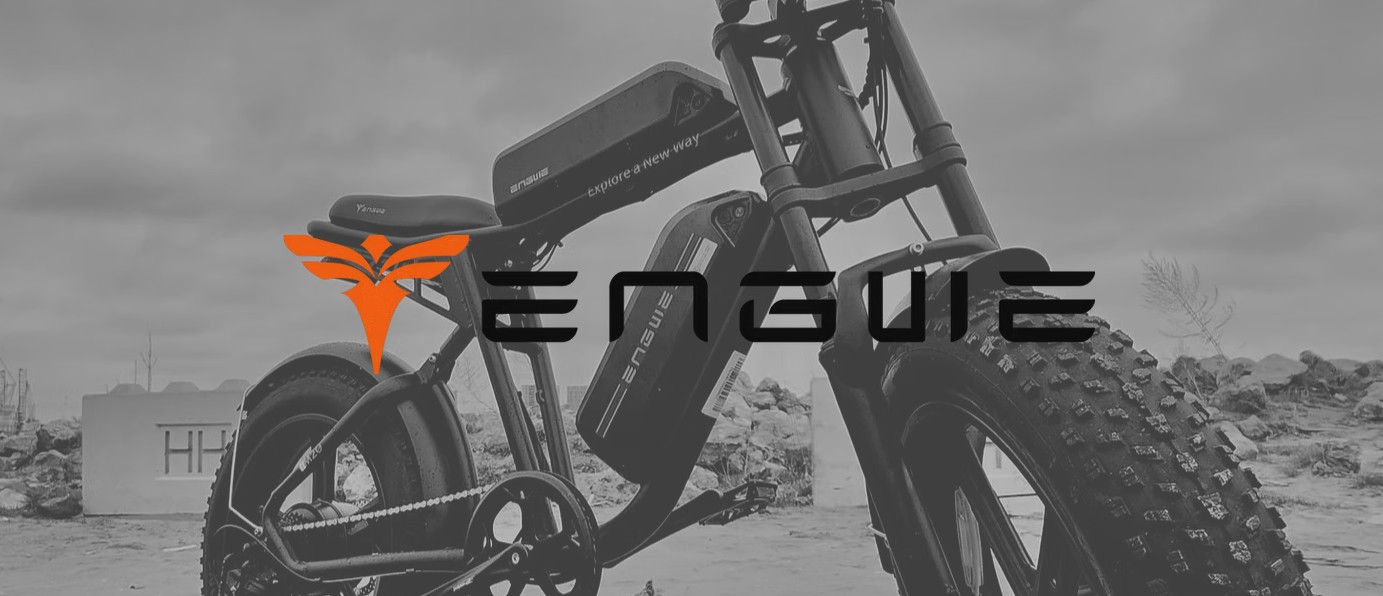 Picture for category E-bikes